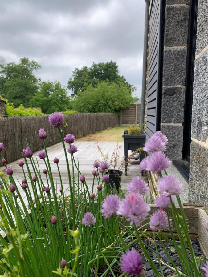 La Maison D'Aurelie Pleudihen-sur-Rance Zewnętrze zdjęcie